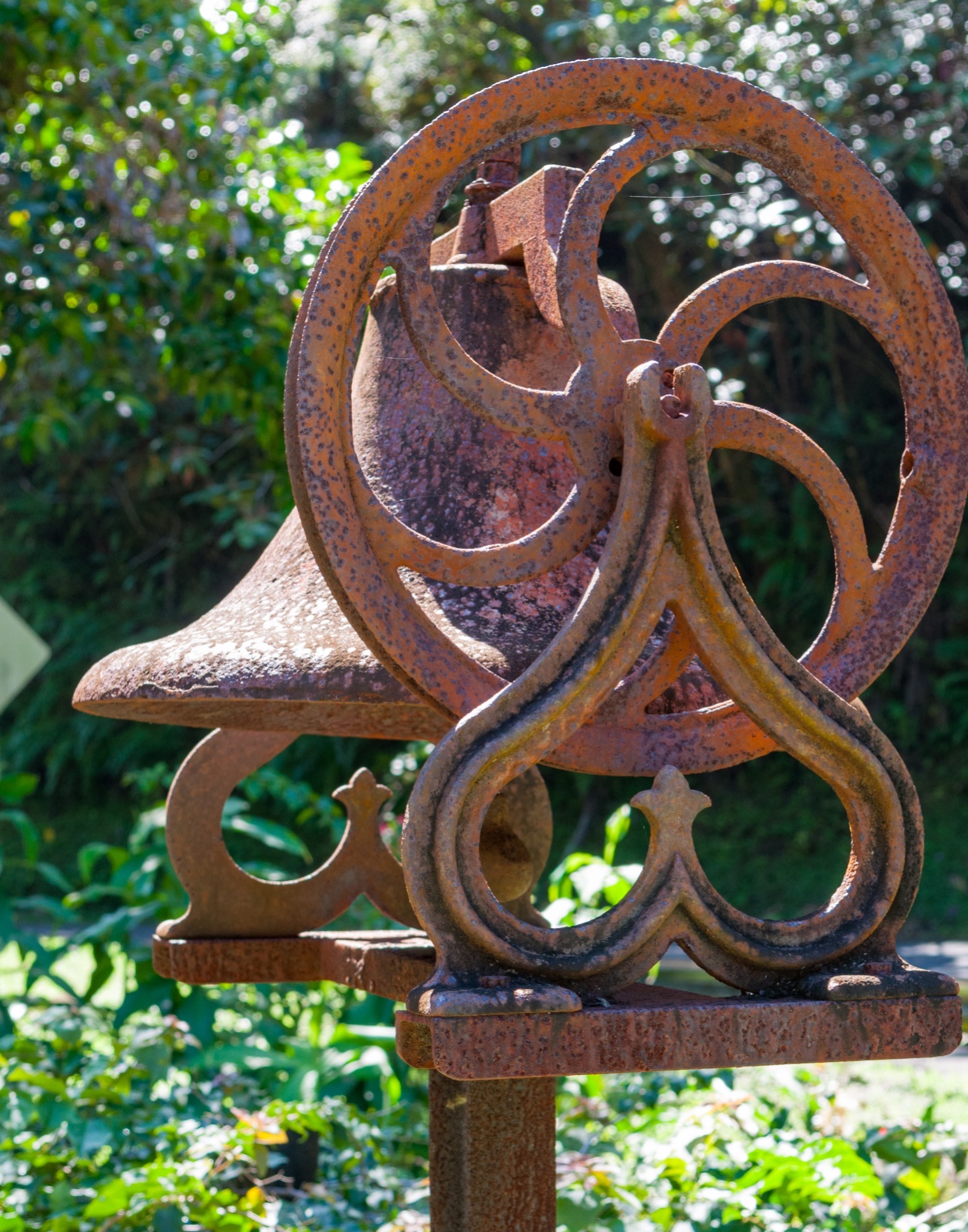 Botanischer Garten auf Hilo