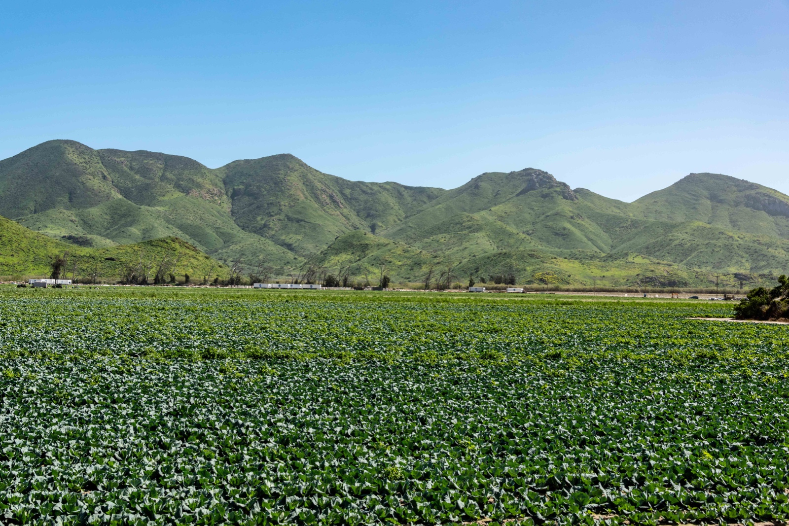 Santa Monica Mountains