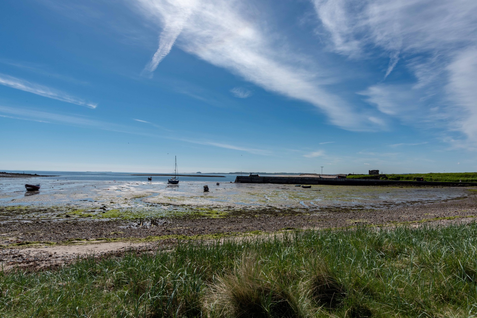 Holy Island Und Alnick