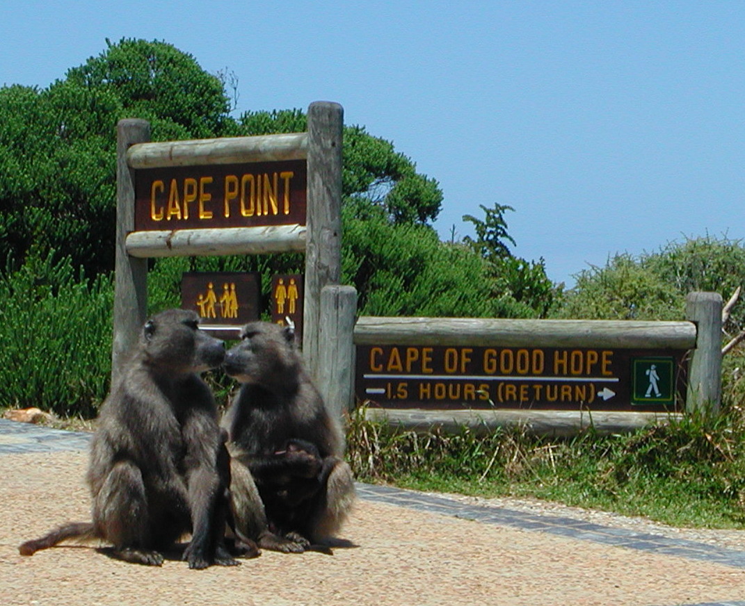Cape of Good Hope