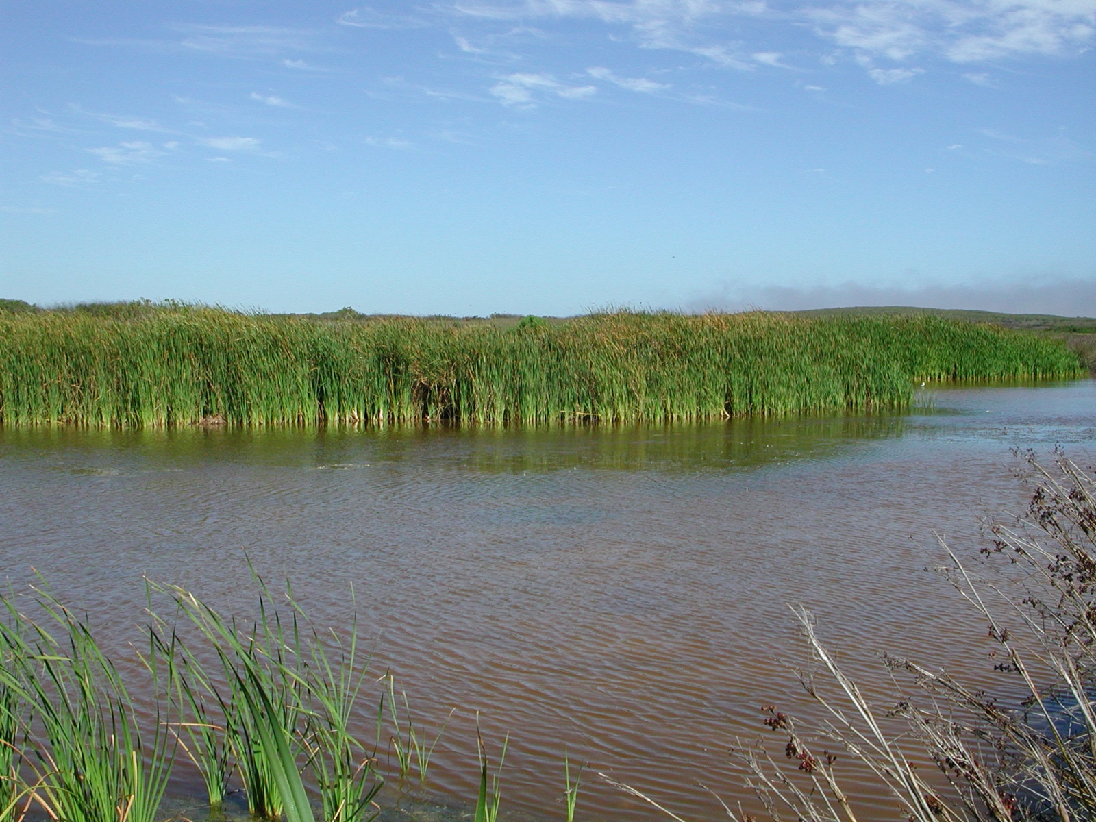 Yzerfontein