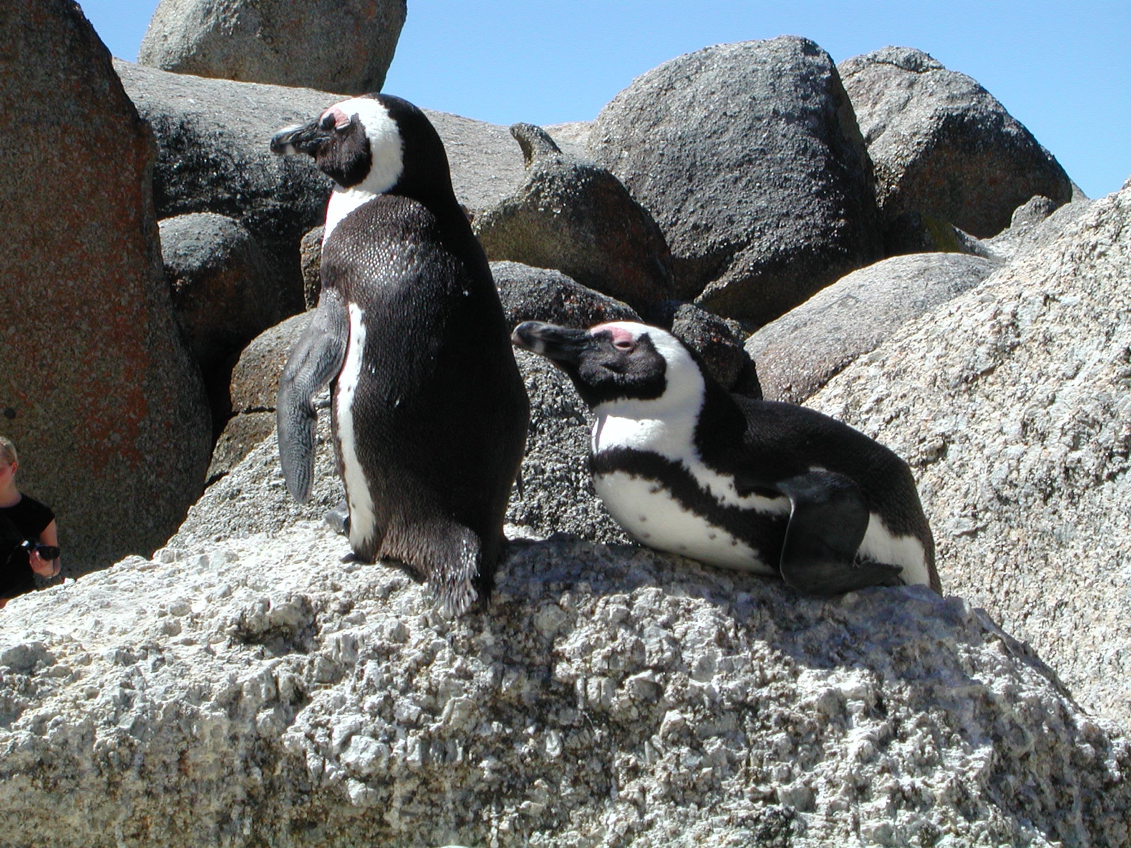Simon's Town