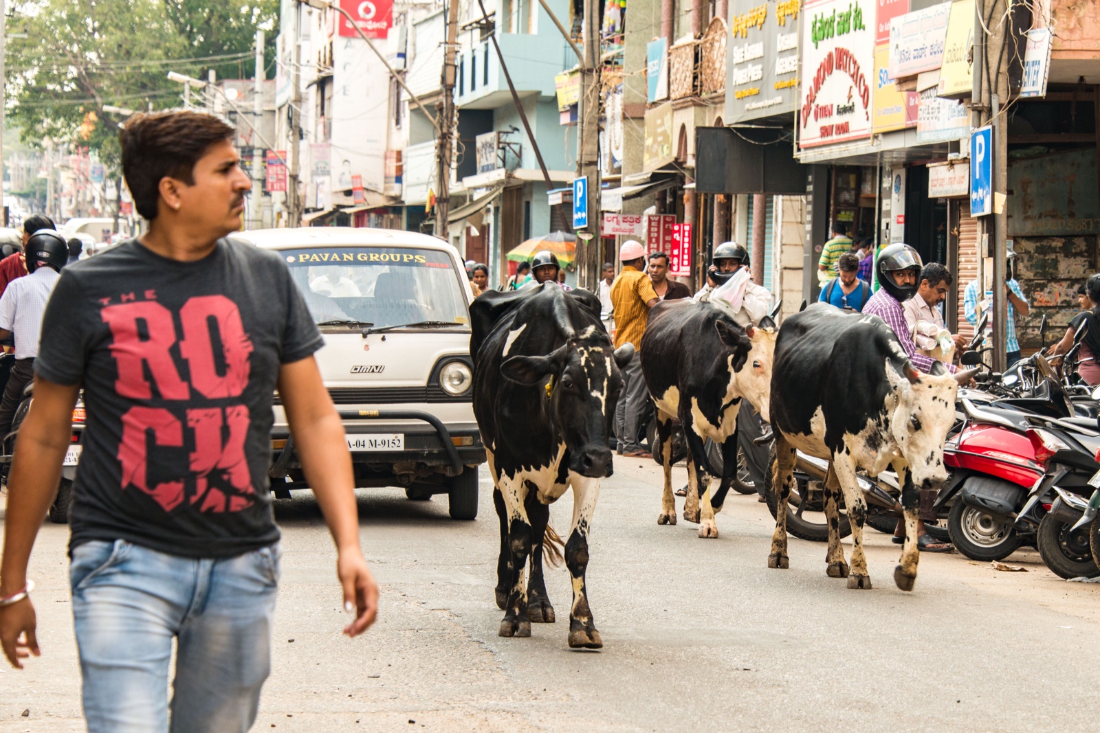 Mysore - Kühe haben Vortritt