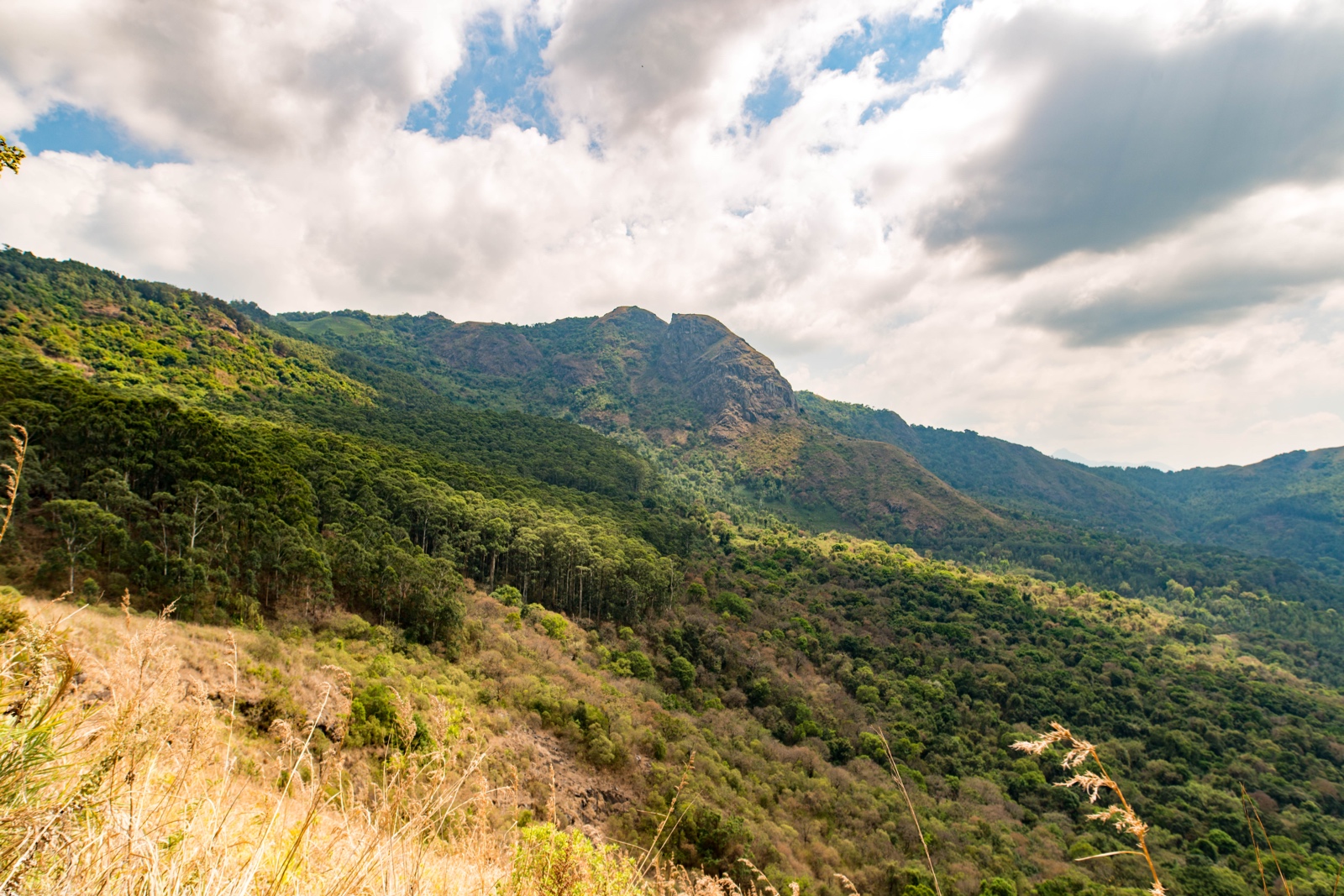 In den Bergen vor Ooty