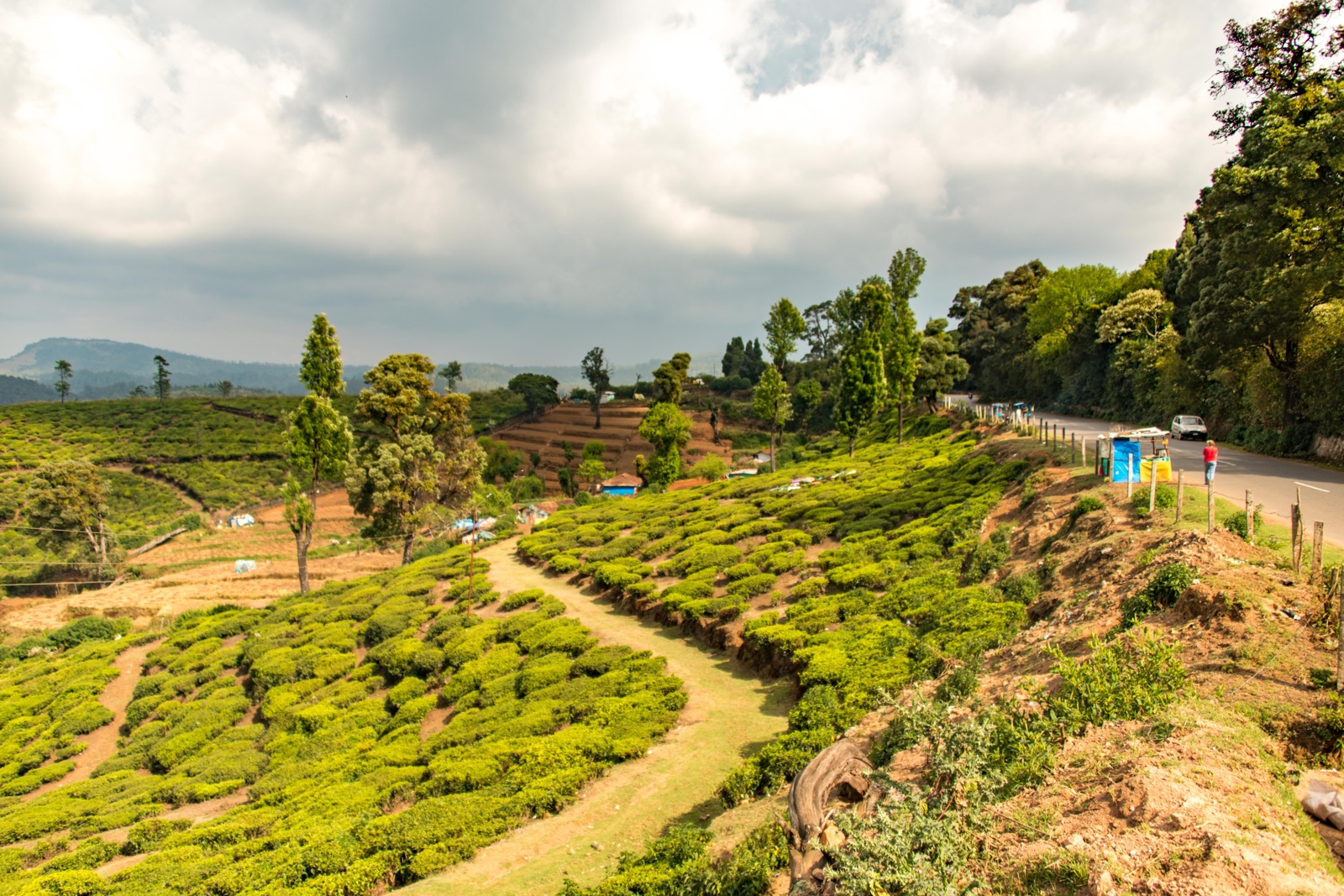 In den Bergen vor Ooty