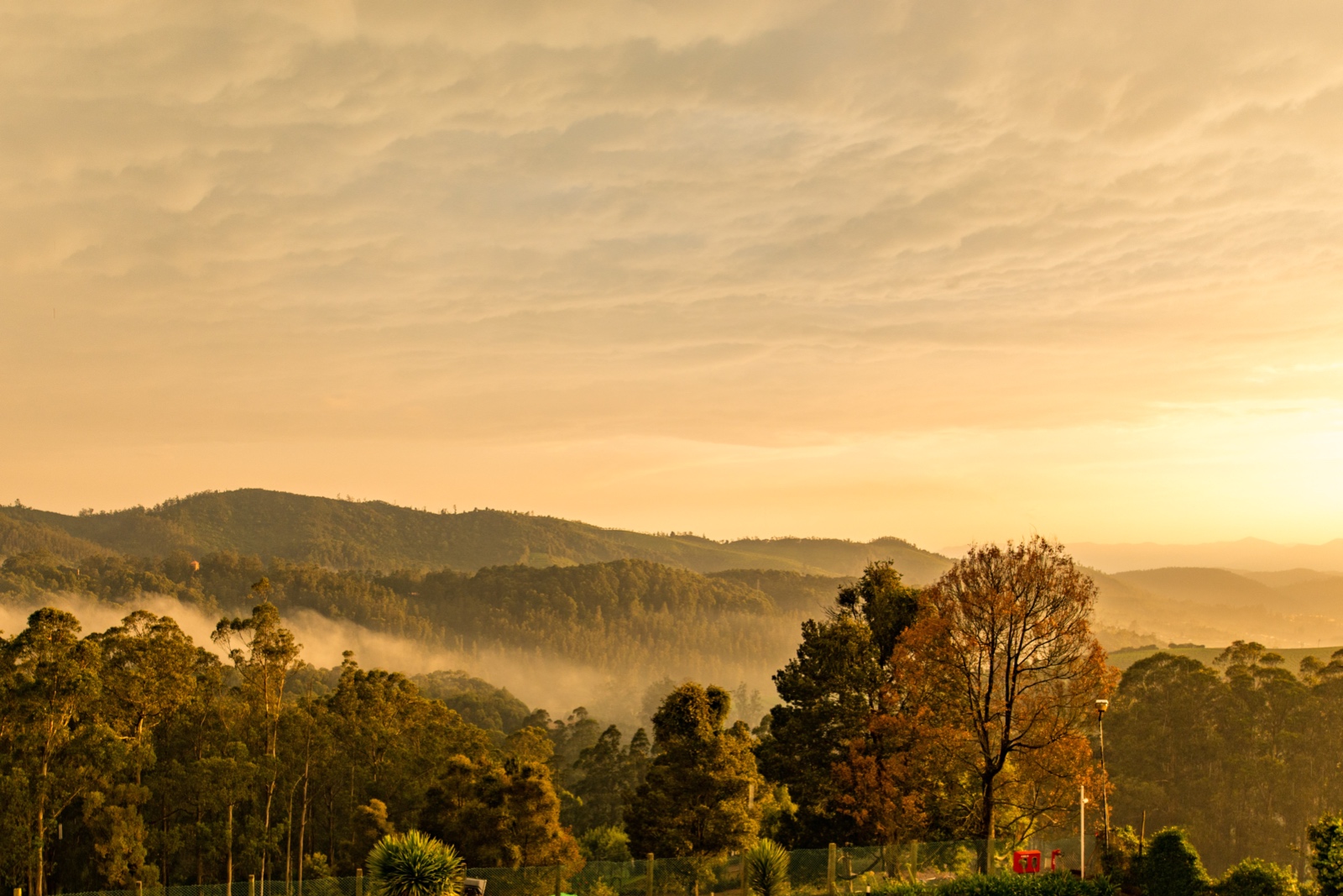 Ooty - Aussicht vom Hotel, 2240 m ü. M.