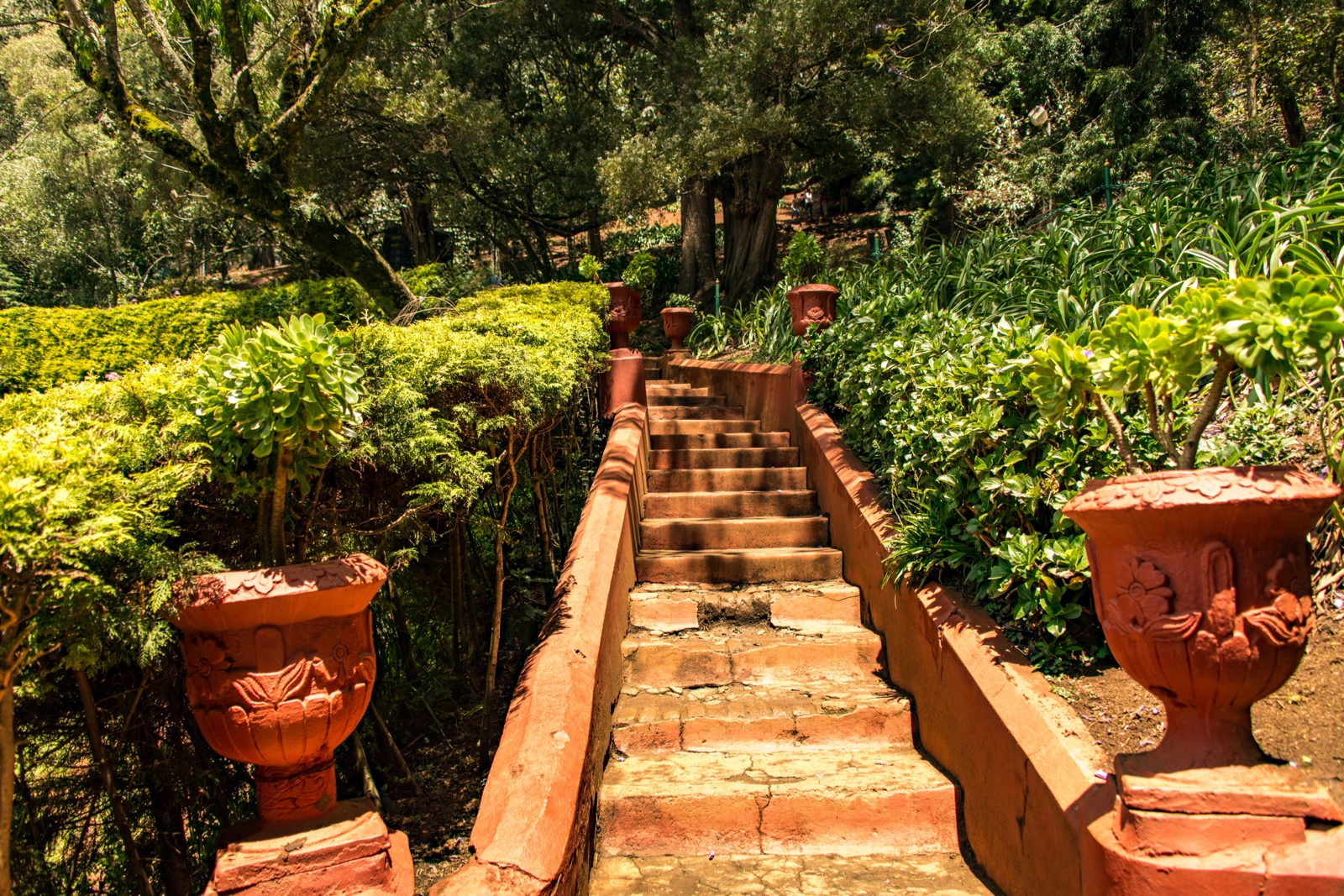 Ooty - Botanischer Garten