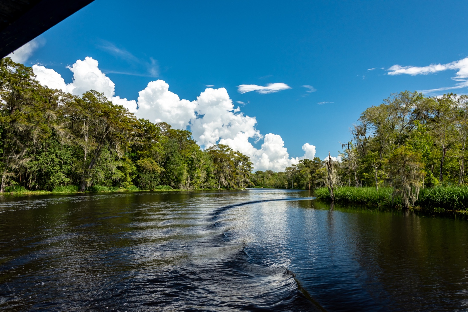 Swamp Tour, Louisiana