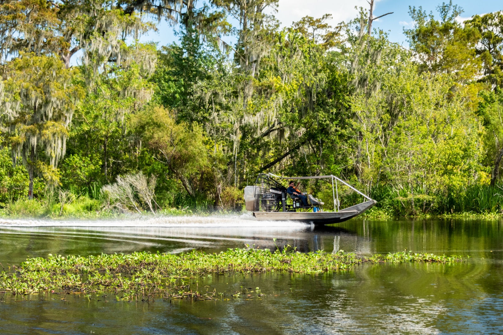 Swamp Tour, Louisiana