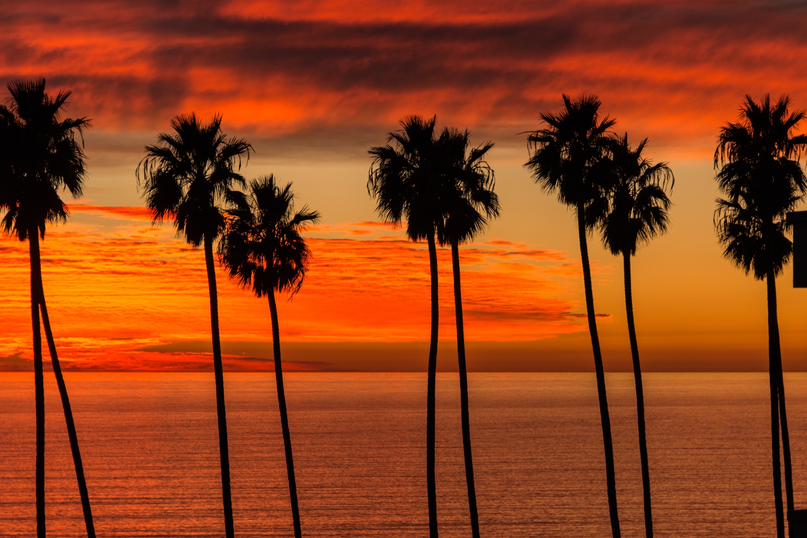 Santa Monica USA